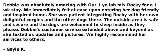 Debbie was absolutely amazing with